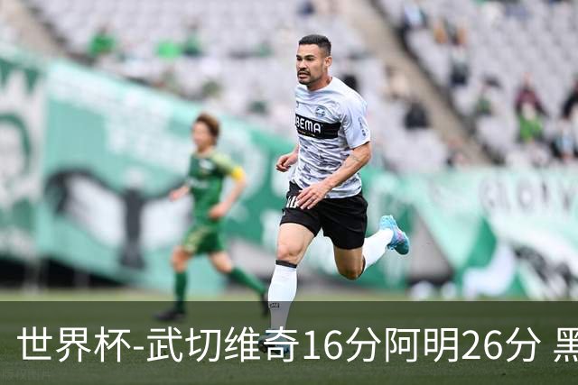 世界杯-武切维奇16分阿明26分 黑山大胜埃及