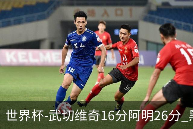 世界杯-武切维奇16分阿明26分 黑山大胜埃及