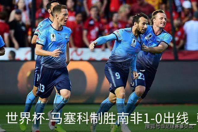 世界杯-马塞科制胜南非1-0出线 韩国积3分获小组第三待定